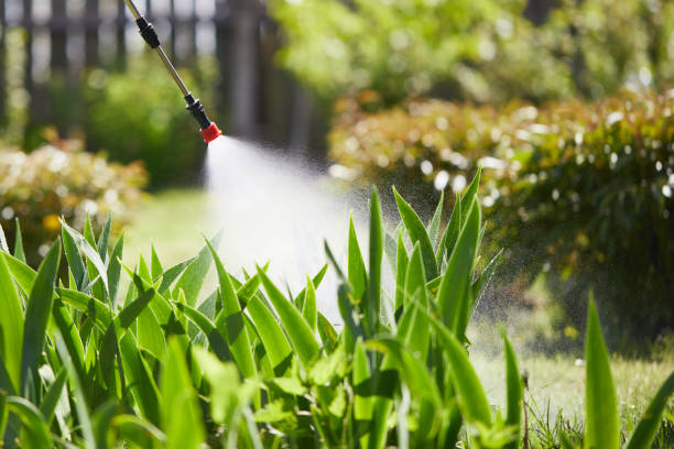 24/7 Emergency Cockroach Control experts in Overland, MO