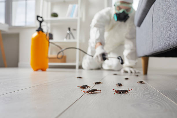Affordable Cockroach Control solutions in Overland, MO